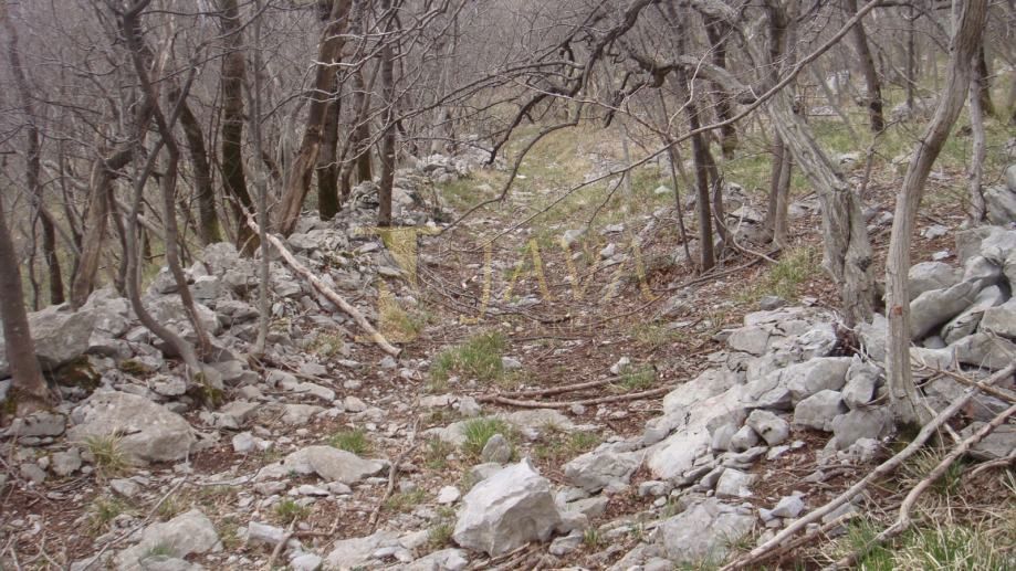 Zemljišče Podhum, Jelenje, 6.400m2