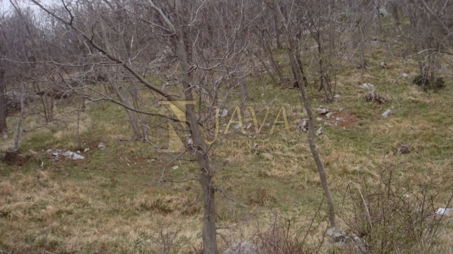 Zemljišče Podhum, Jelenje, 6.400m2