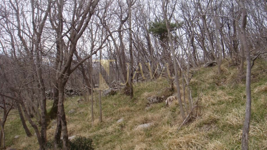 Zemljišče Podhum, Jelenje, 6.400m2