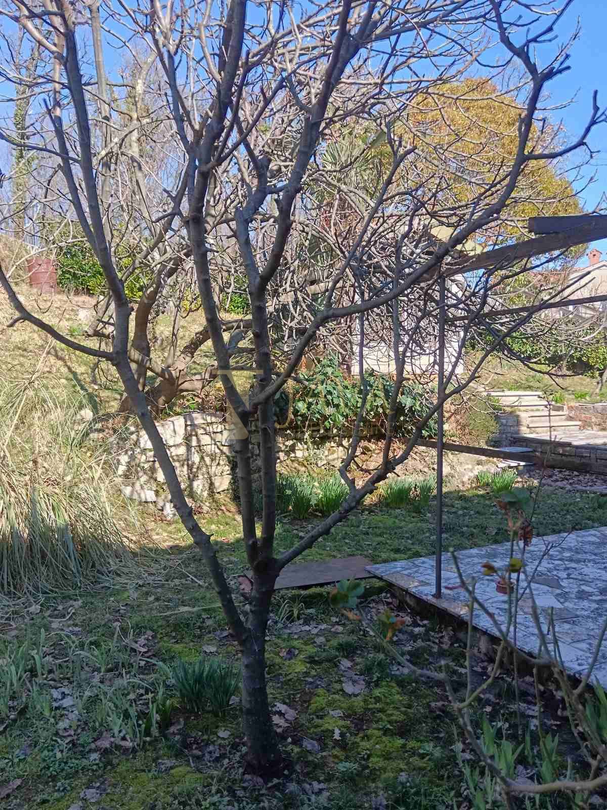 Hiša Matulji, 490m2