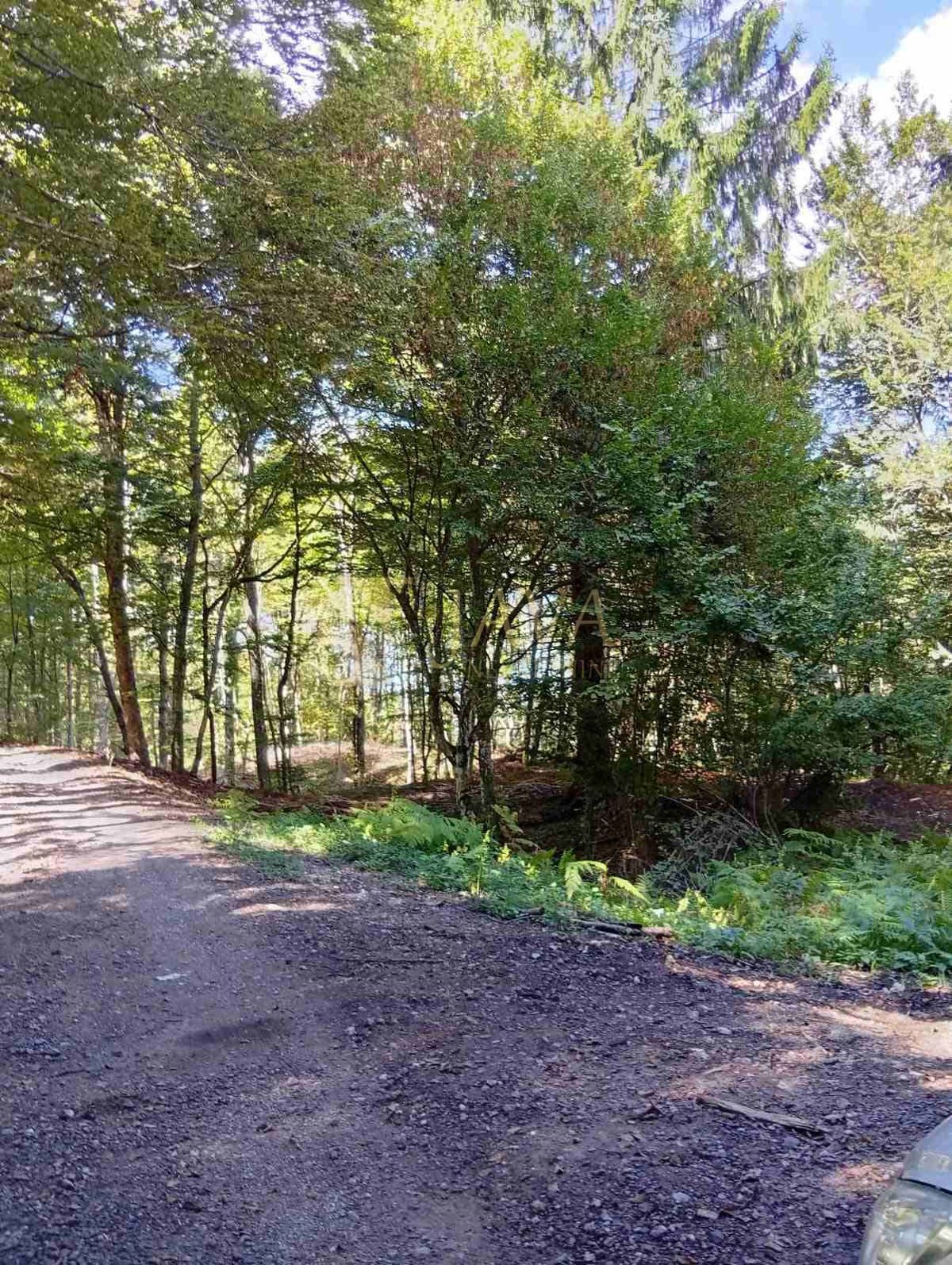 Zemljišče Lukovdol, Vrbovsko, 31.176m2