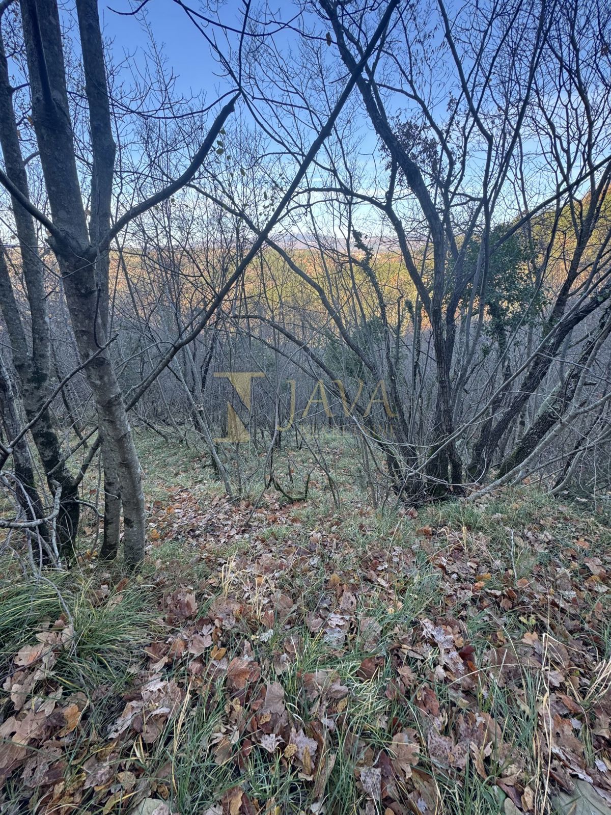 Zemljišče Draguć, Cerovlje, 30.000m2