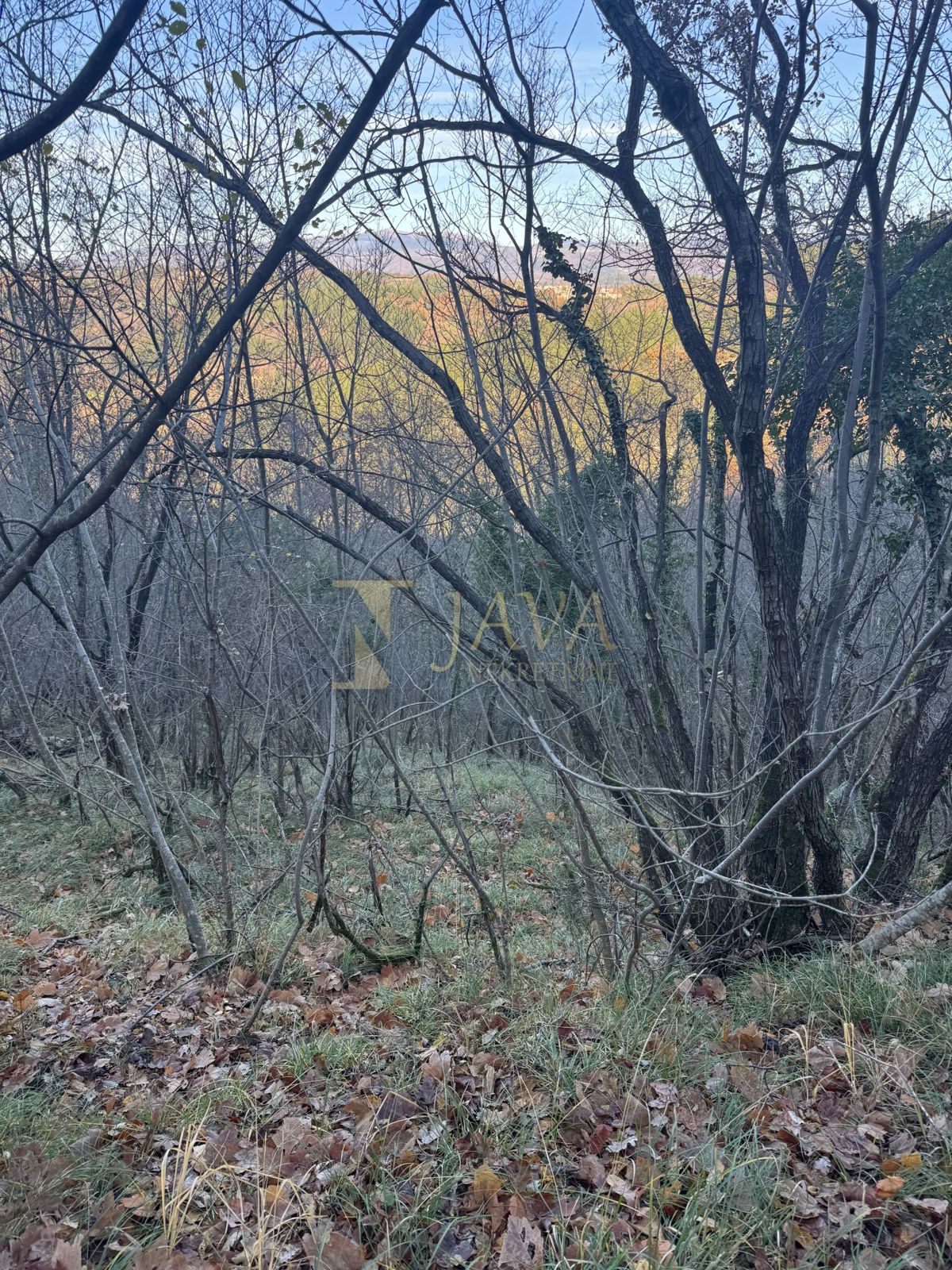 Zemljišče Draguć, Cerovlje, 30.000m2