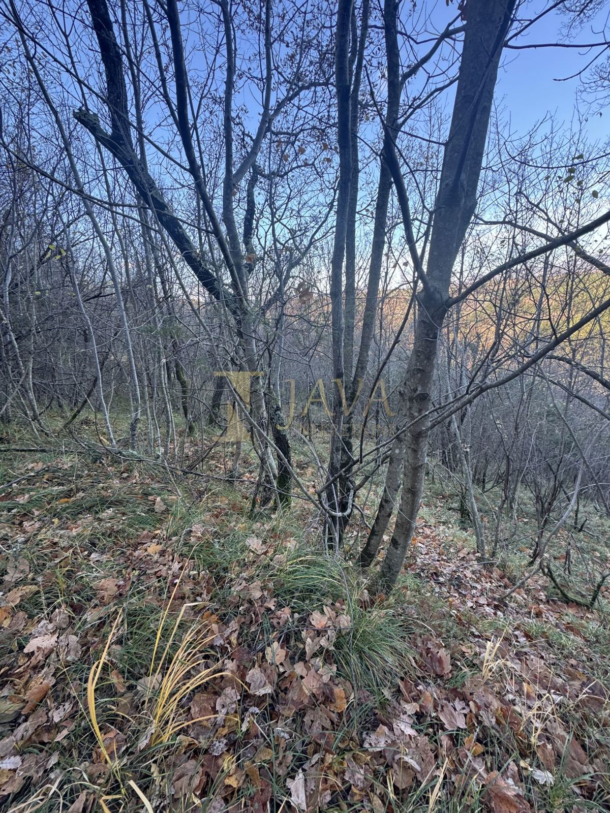 Zemljišče Draguć, Cerovlje, 30.000m2