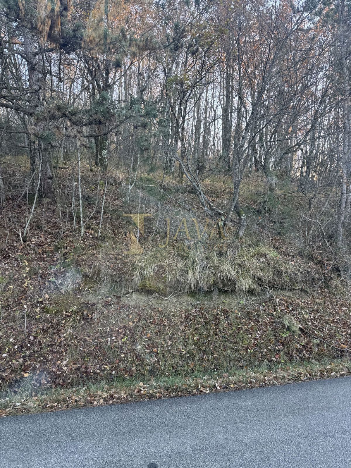 Zemljišče Draguć, Cerovlje, 30.000m2