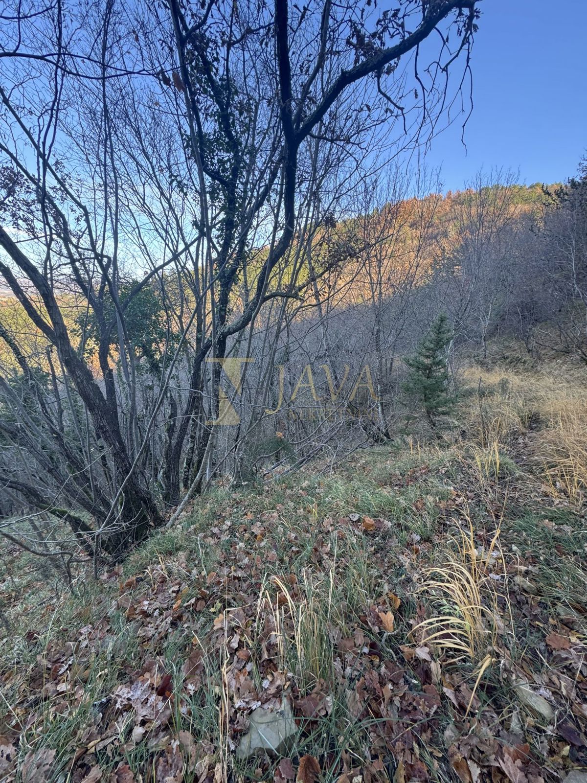 Zemljišče Draguć, Cerovlje, 30.000m2