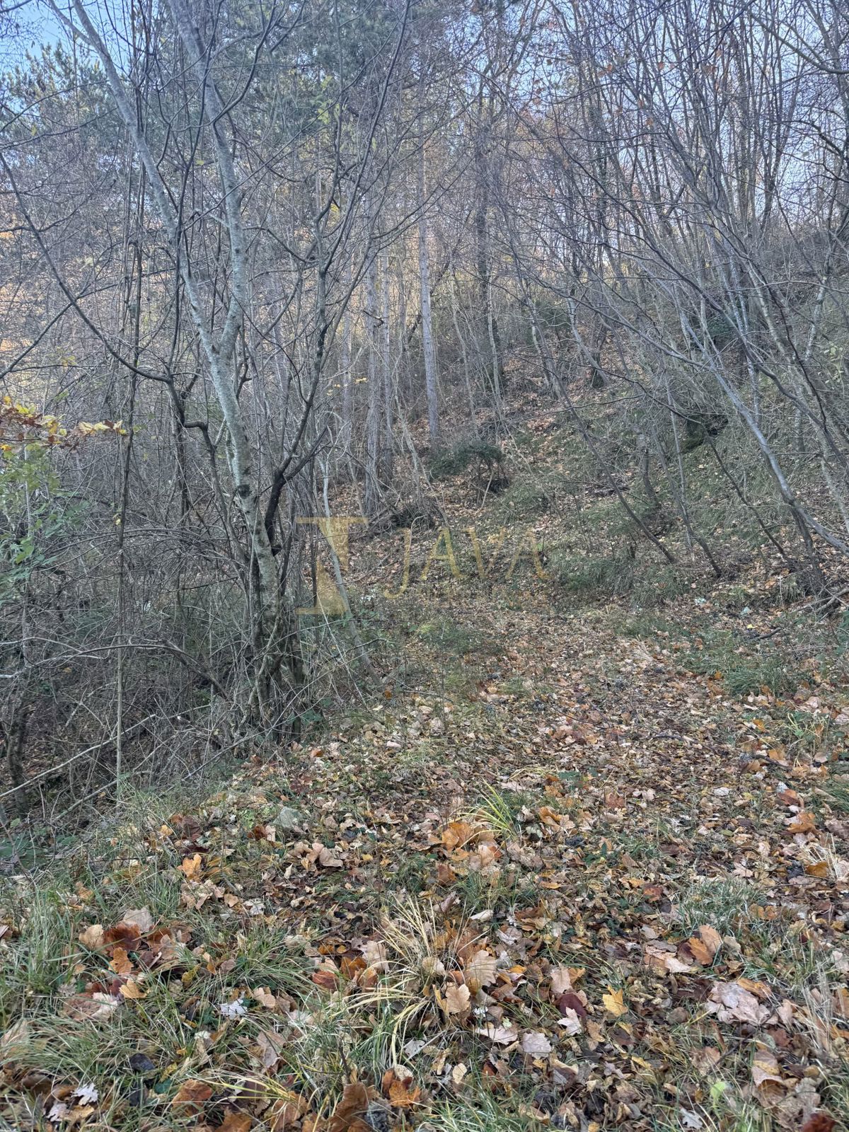 Zemljišče Draguć, Cerovlje, 30.000m2