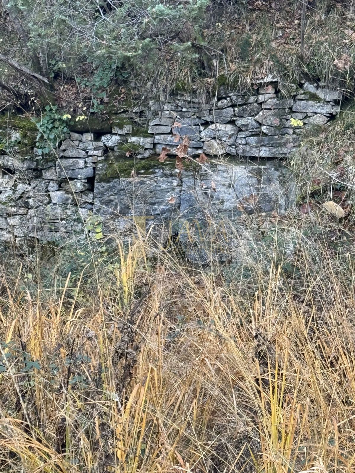 Zemljišče Draguć, Cerovlje, 30.000m2