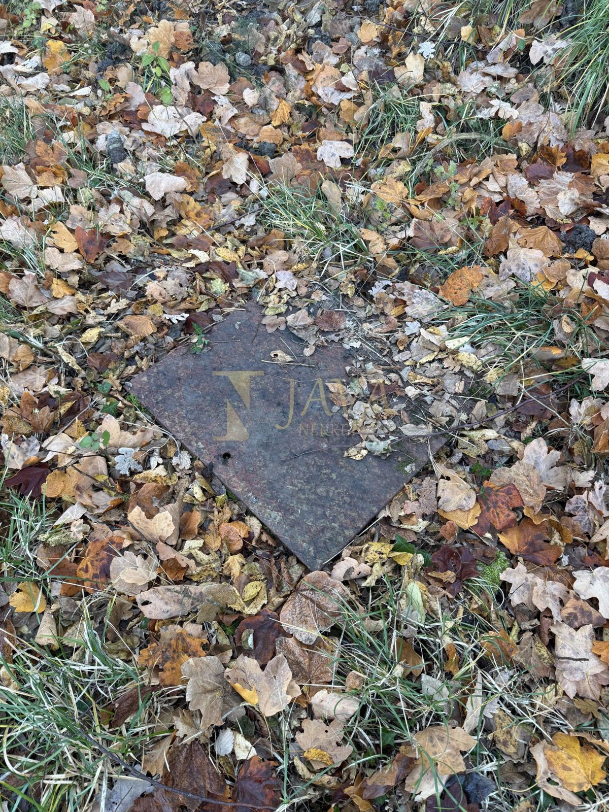 Zemljišče Draguć, Cerovlje, 30.000m2