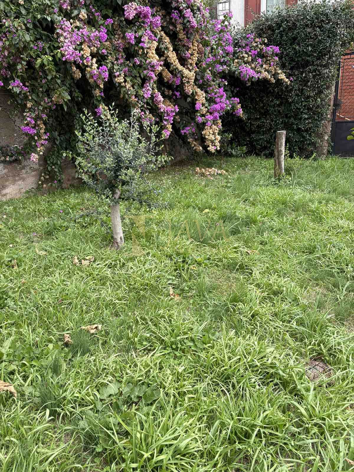 Stanovanje Pećine, Rijeka, 107,22m2