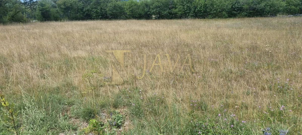 Zemljišče Soboli, Čavle, 3.500m2