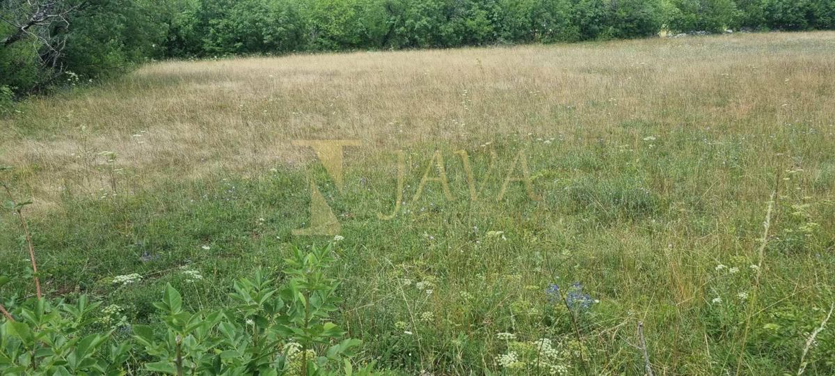 Zemljišče Soboli, Čavle, 3.500m2