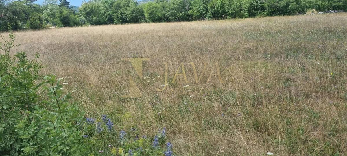 Zemljišče Soboli, Čavle, 3.500m2