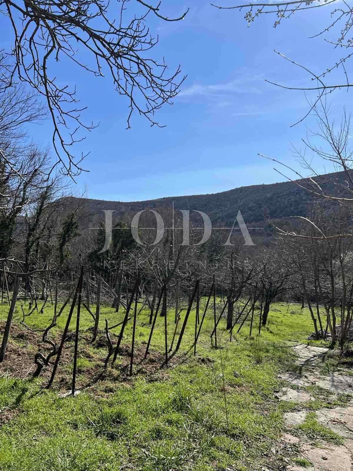 Hiša Drivenik, Vinodolska Općina, 100m2