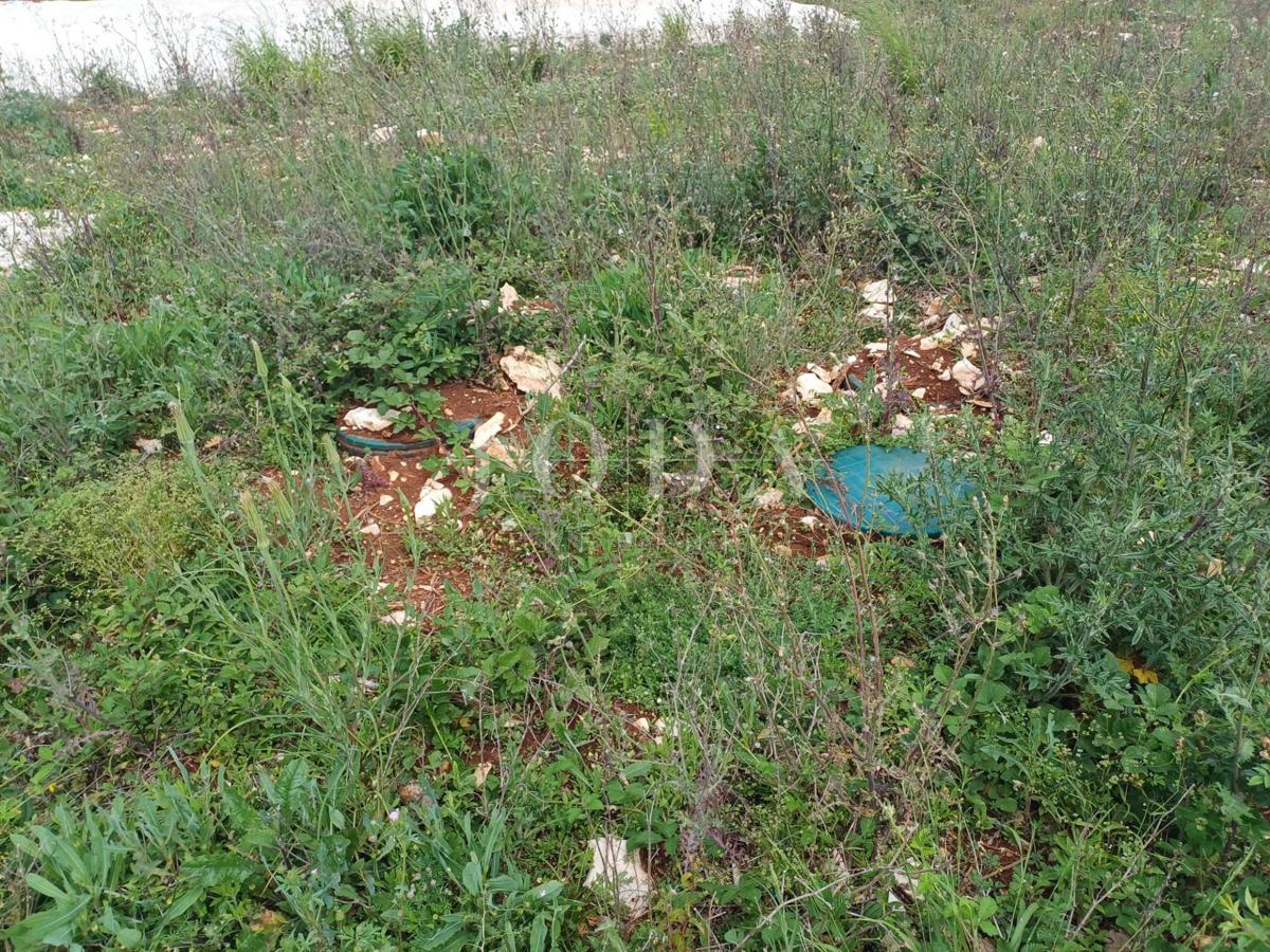 Zemljišče Barbariga, Vodnjan, 967m2