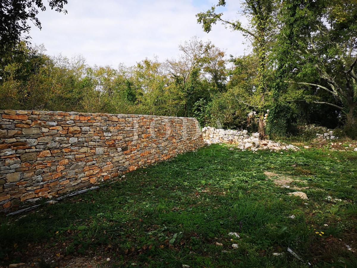 Hiša Grožnjan, 262m2