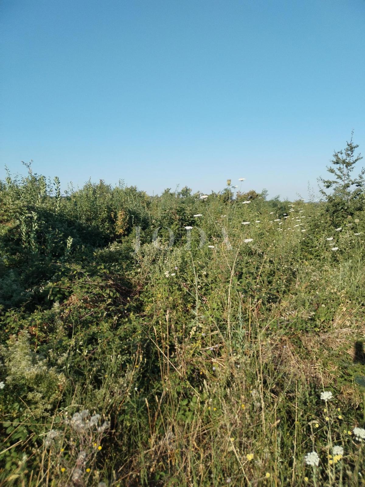 Zemljišče Labin, 2.355m2