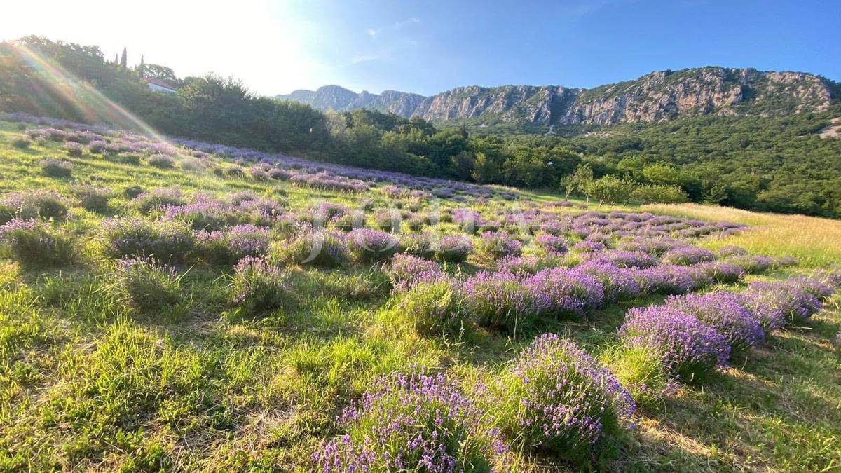 Stavbno zemljišče 1.250 m² z dovoljenjem in temelji – Bribir, pogled na morje