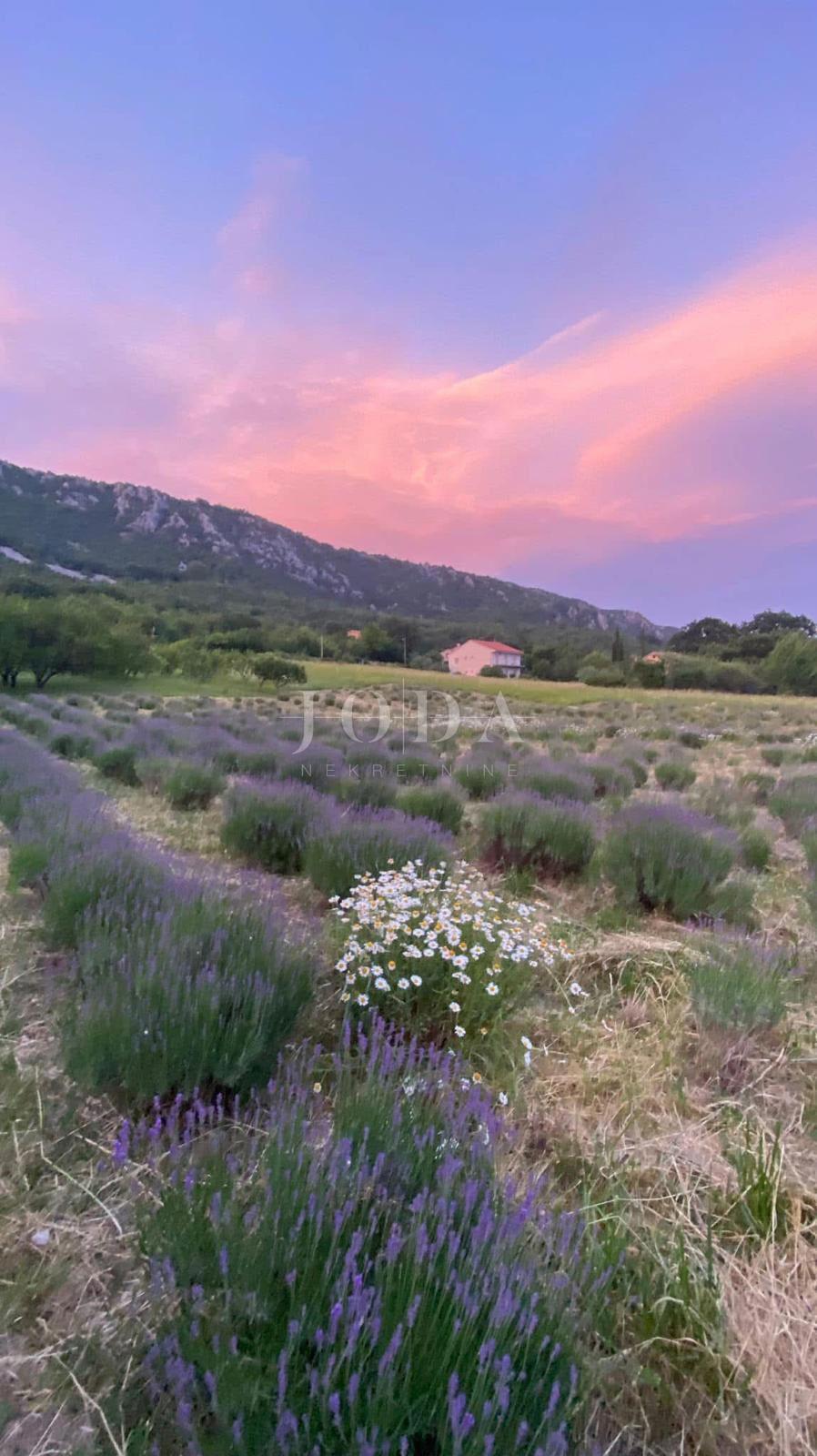 Stavbno zemljišče 1.250 m² z dovoljenjem in temelji – Bribir, pogled na morje