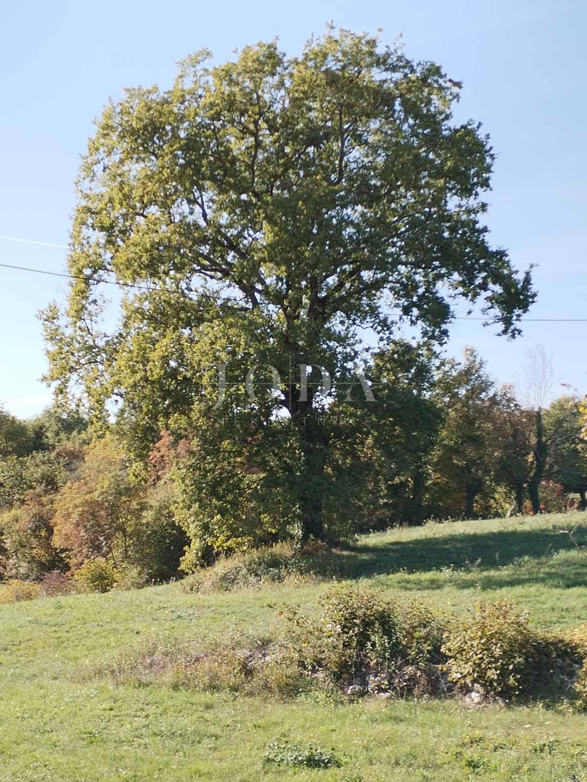 Zemljišče Kršan, 5.839m2