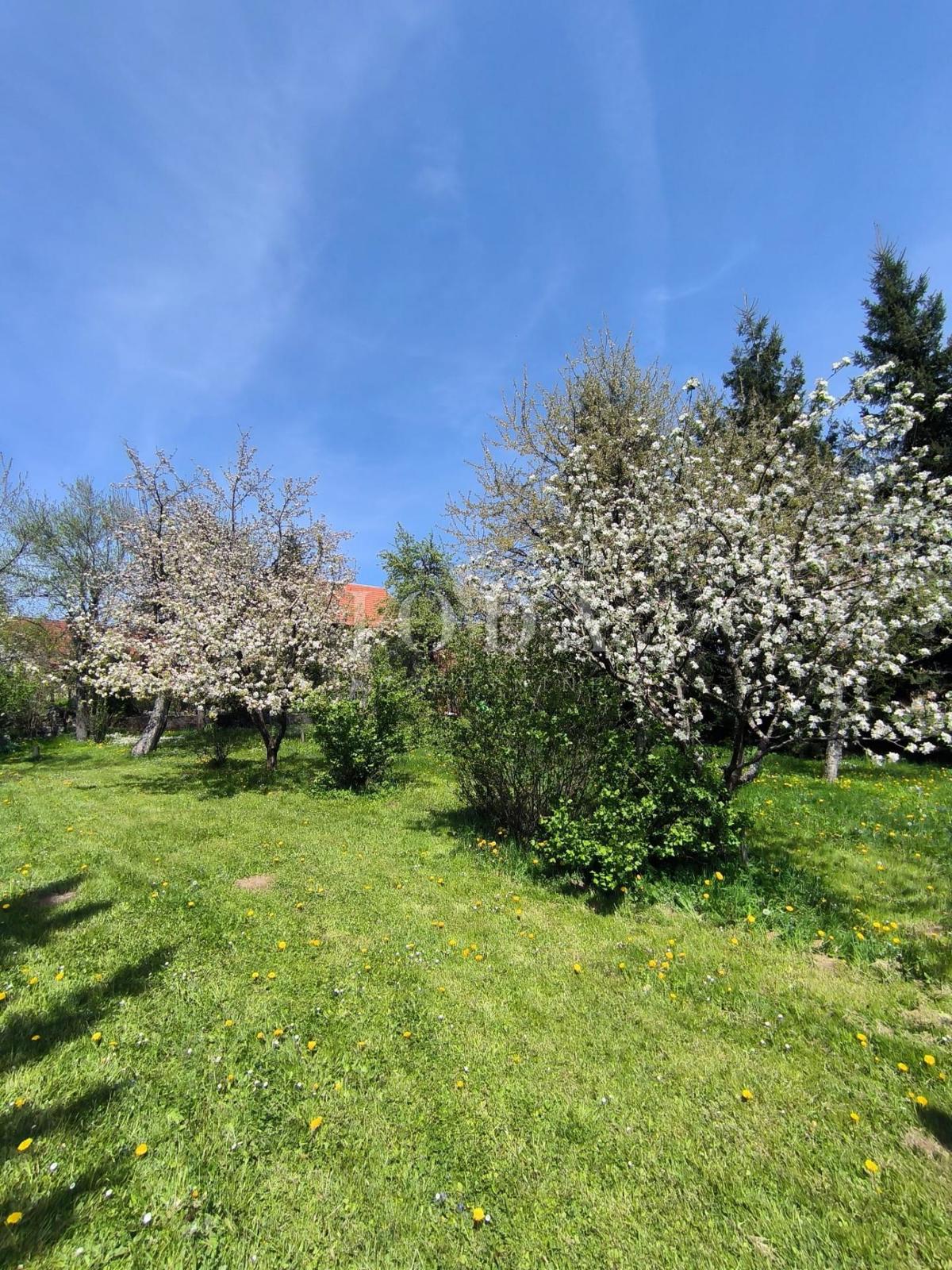 Hiša Ravna Gora, 119m2