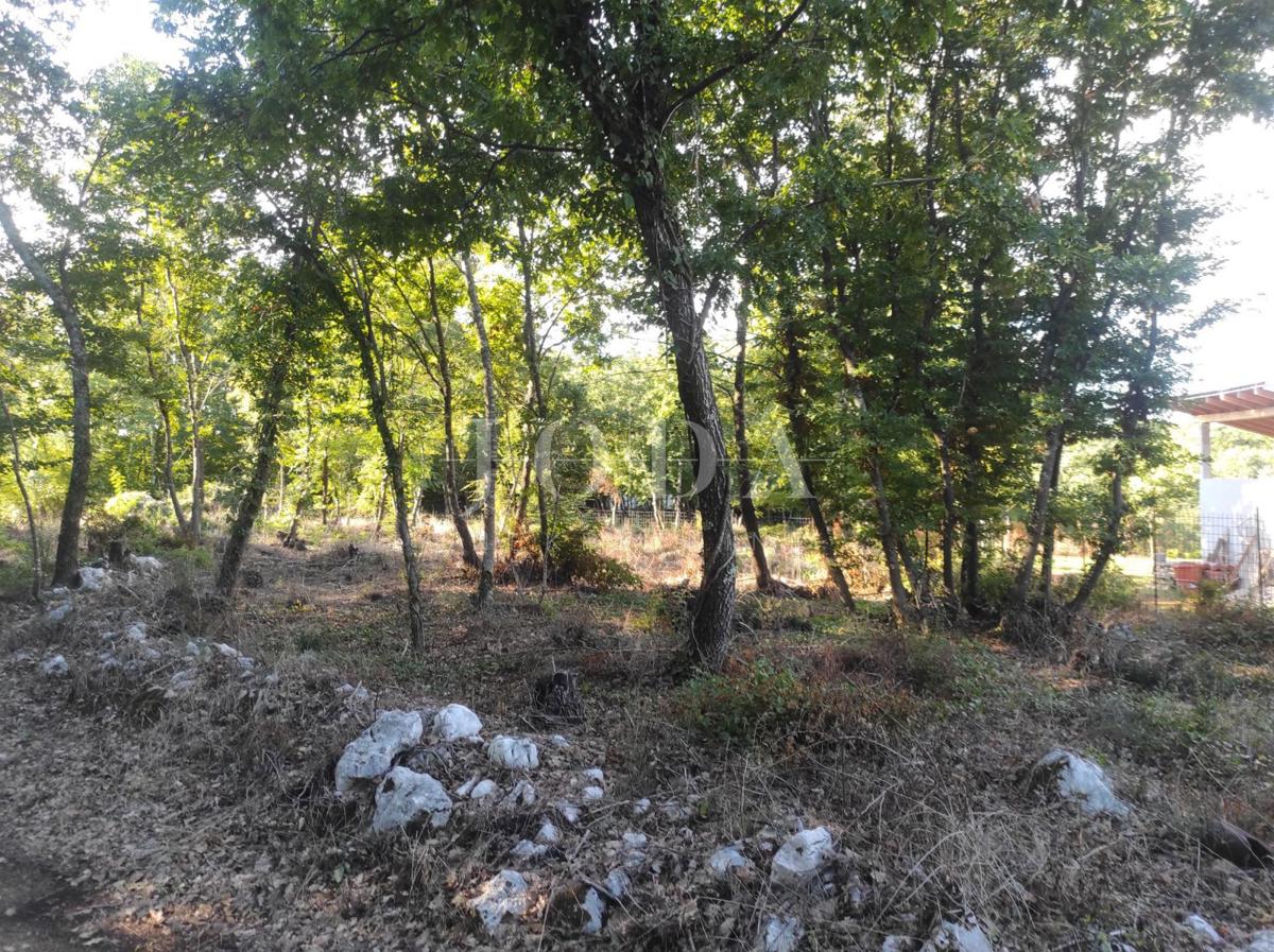 Zemljišče Rakotule, Karojba, 1.446m2