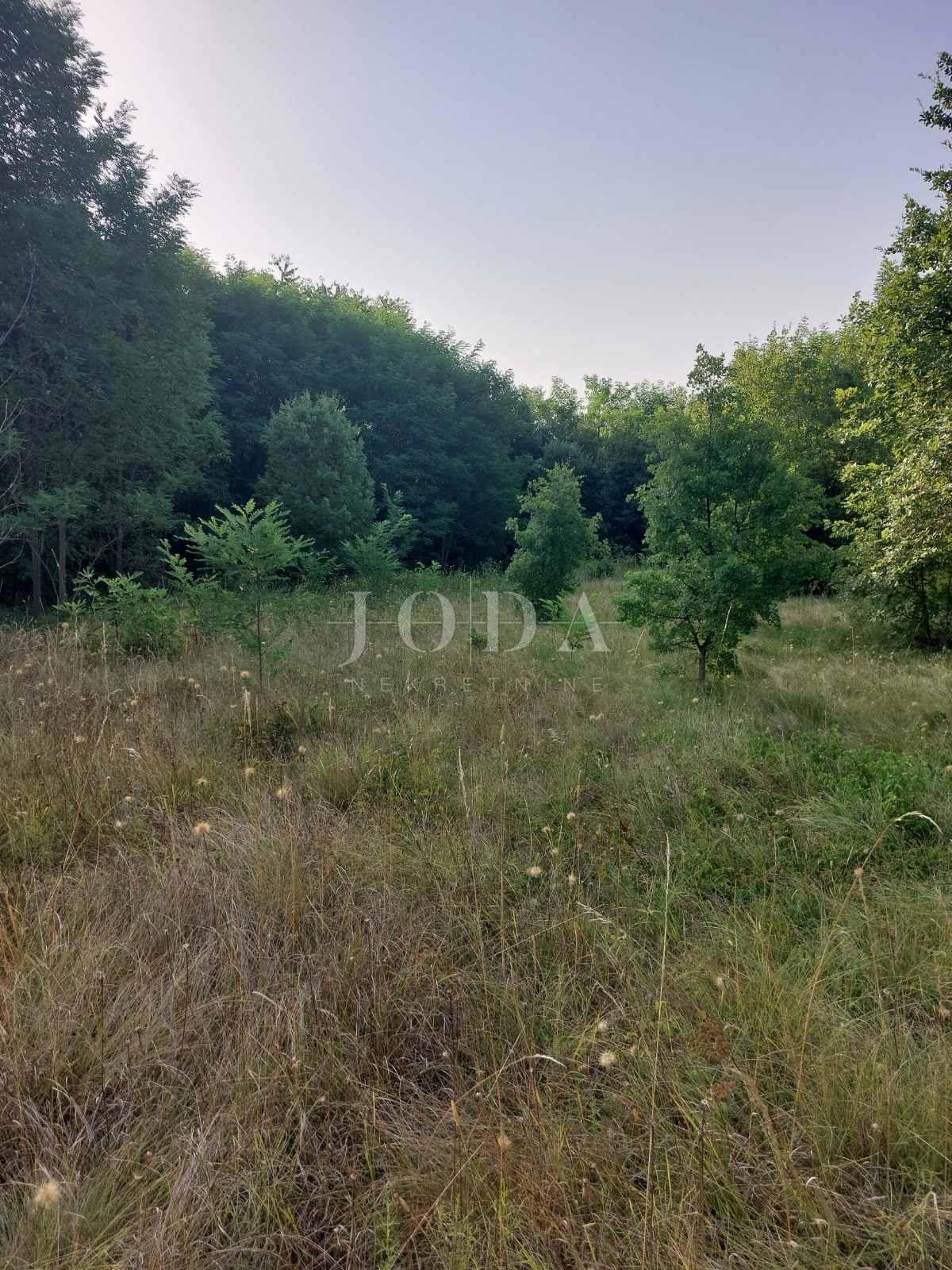 Zemljišče Kunj, Raša, 5.661m2