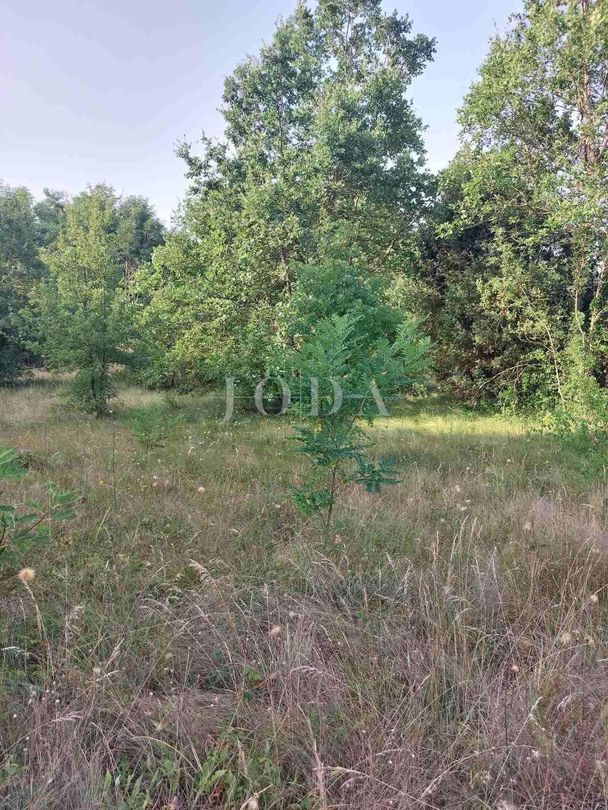 Zemljišče Kunj, Raša, 5.661m2