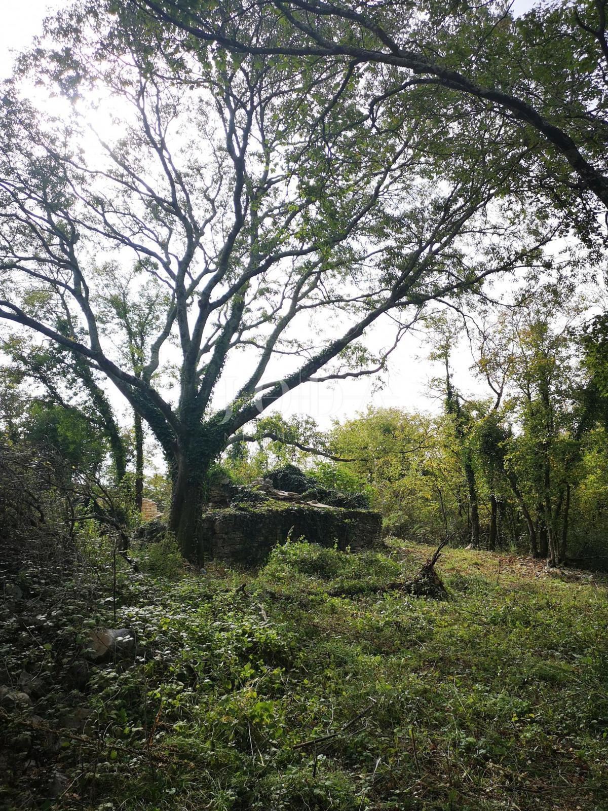 Zemljišče Grožnjan, 902m2