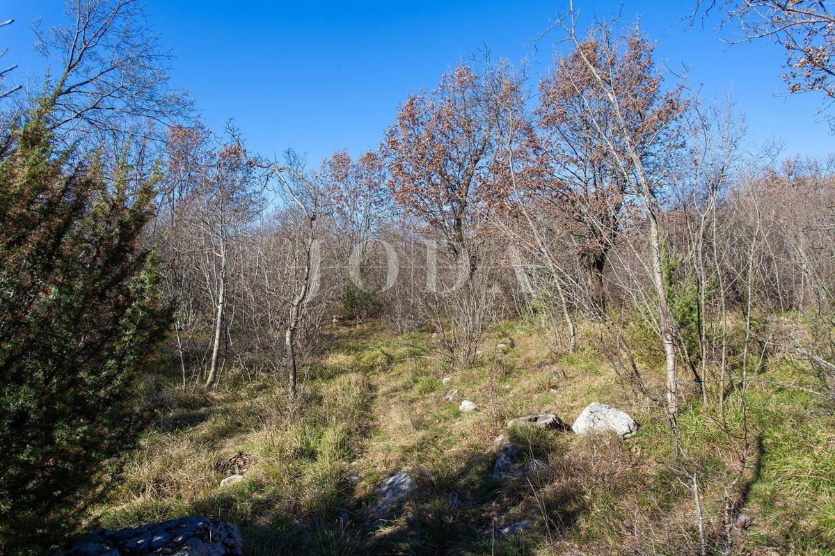 Veliko neurbanizirano zemljišče v bližini mesta Krk 