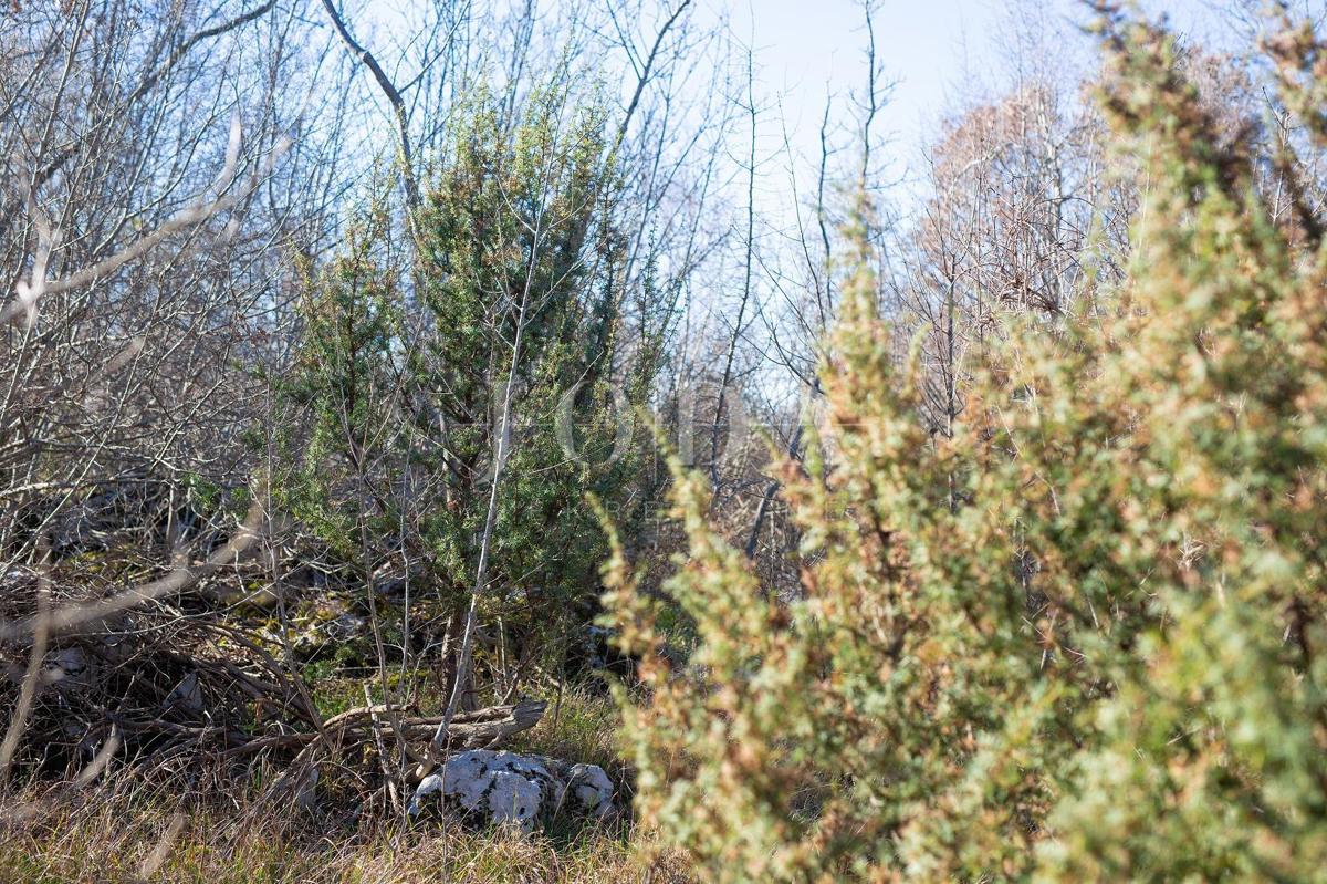 Veliko neurbanizirano zemljišče v bližini mesta Krk 