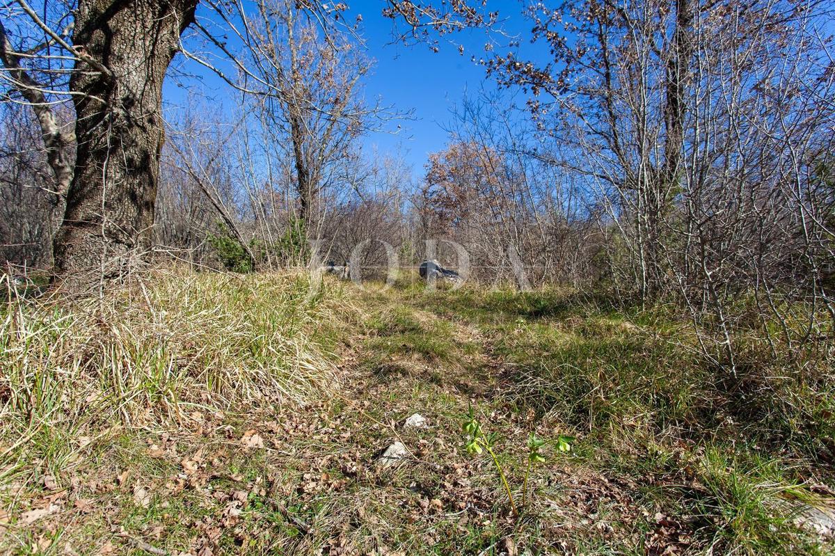 Veliko neurbanizirano zemljišče v bližini mesta Krk 