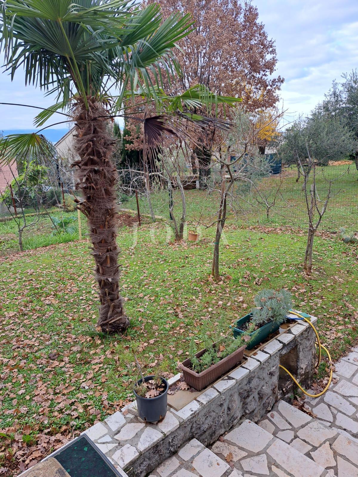 Samostojna hiša z velikim vrtom - Njivice, otok Krk