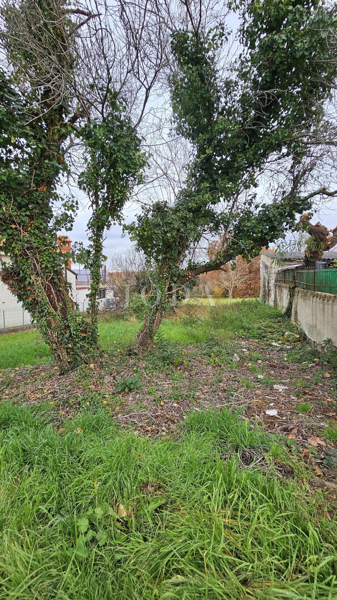 Zemljišče Brtonigla, 517m2