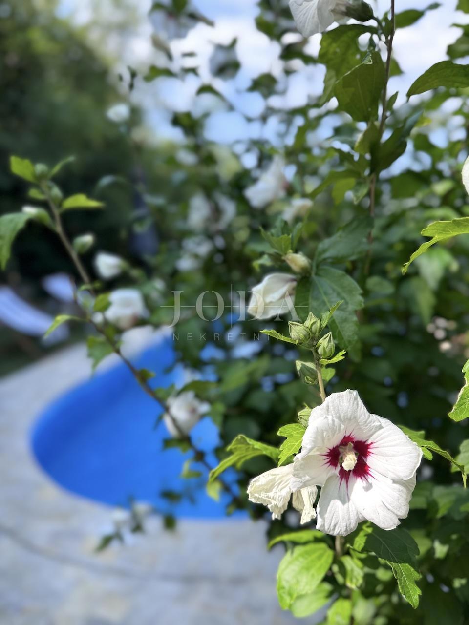 Grižane – Posestvo z dvema kamnitima hišama in zemljiščem