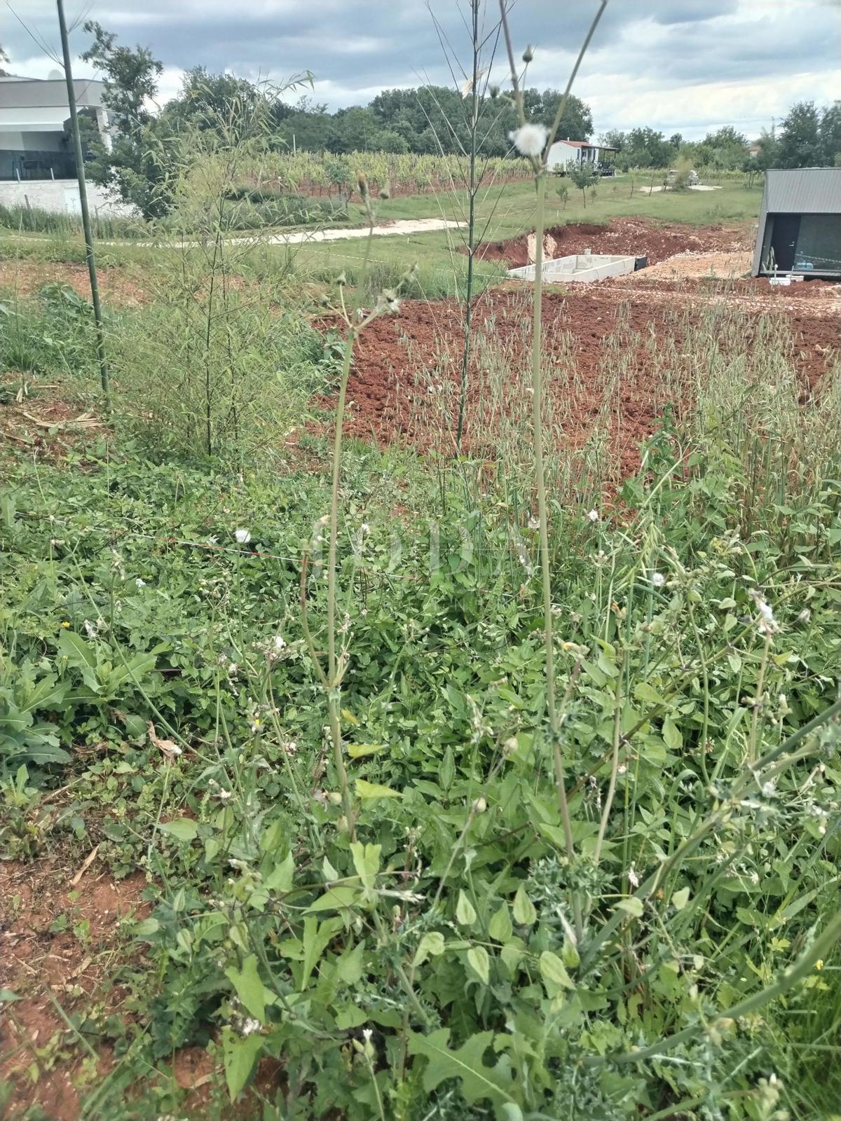 Zemljišče Labin, 900m2