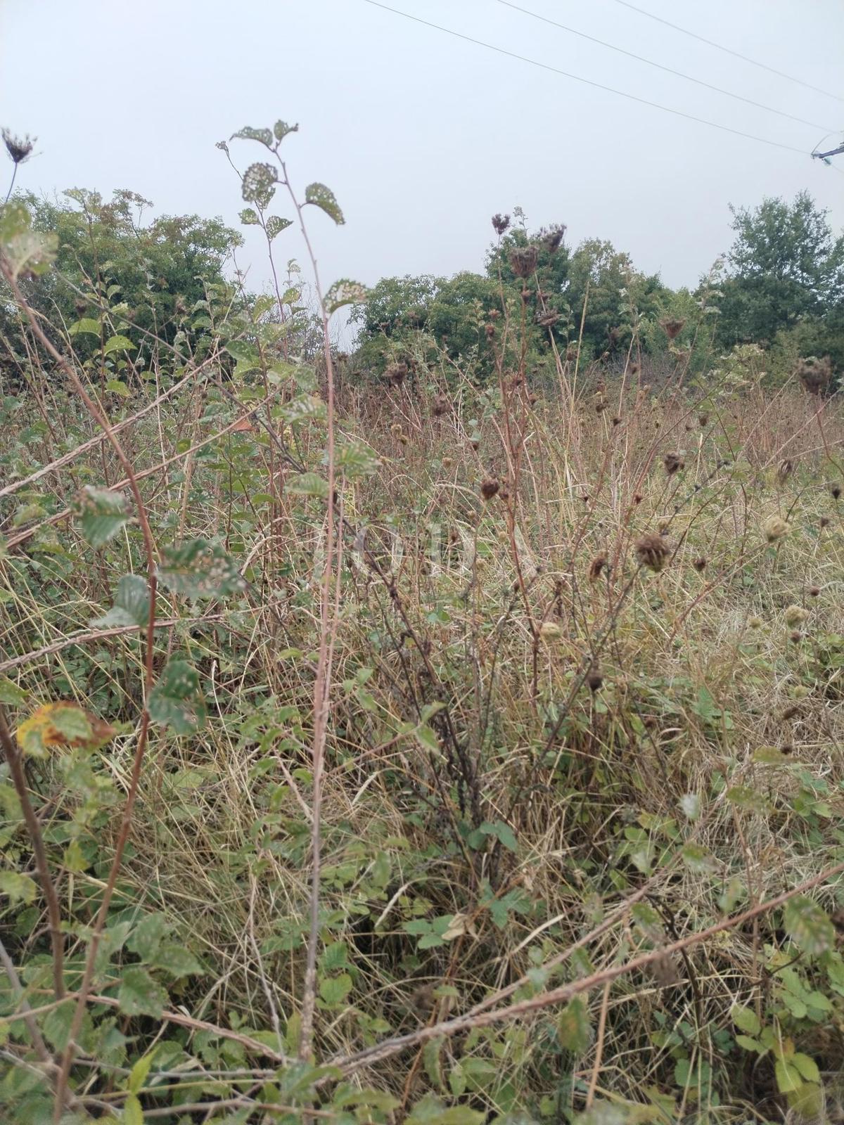 Zemljišče Labin, 1.980m2