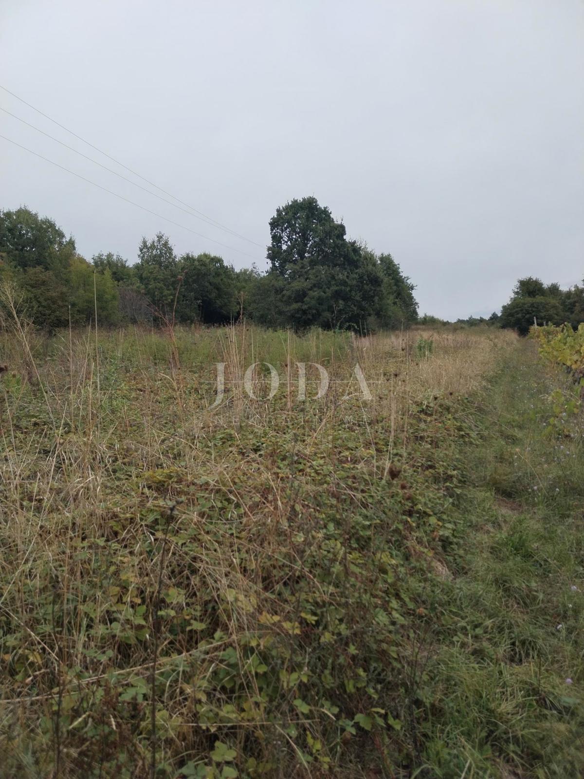 Zemljišče Labin, 1.980m2