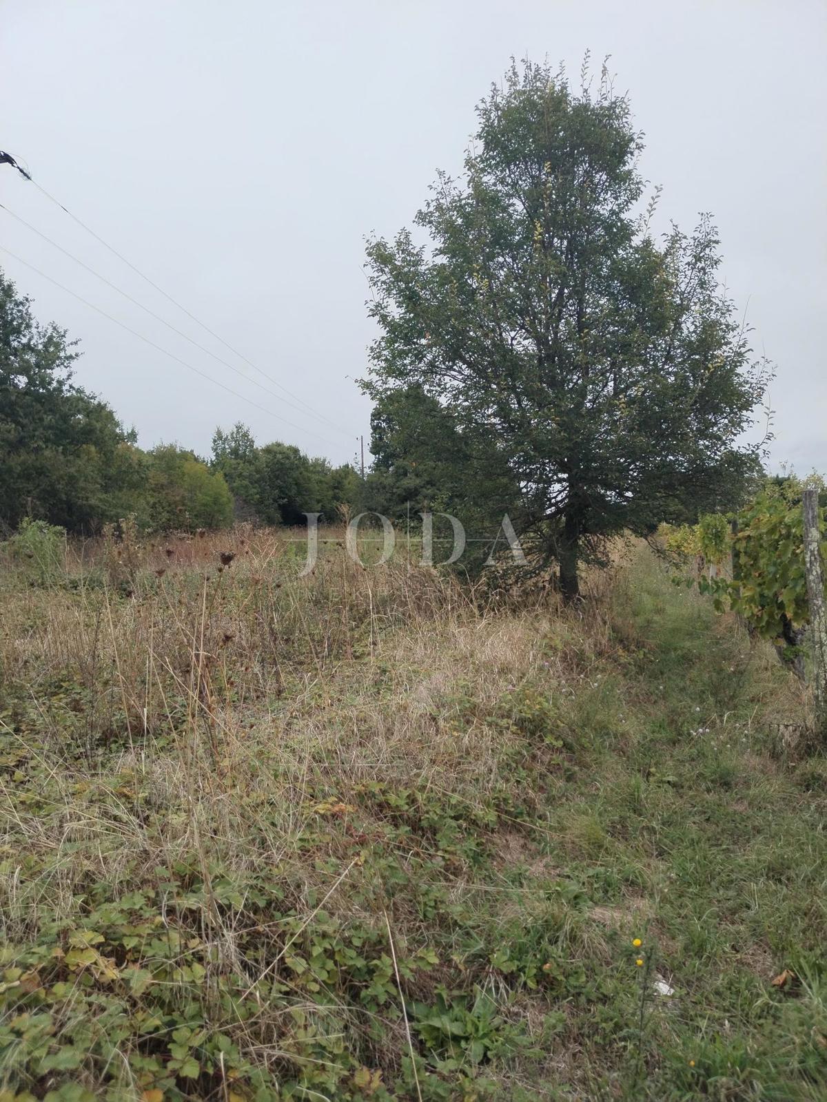 Zemljišče Labin, 1.980m2