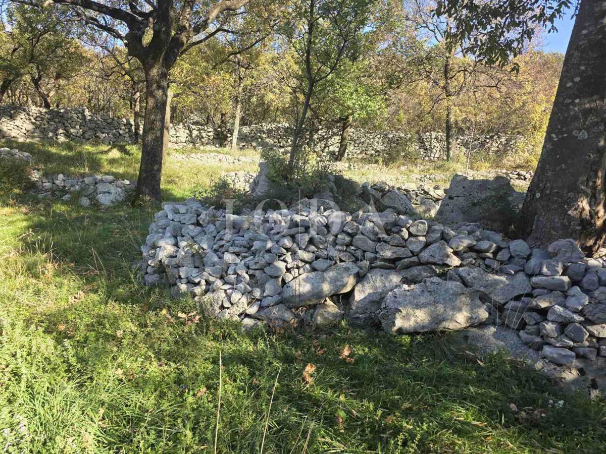 Hiša Ledenice, Novi Vinodolski, 212m2