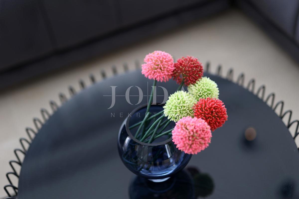 Hiša Novalja,  luxury villa