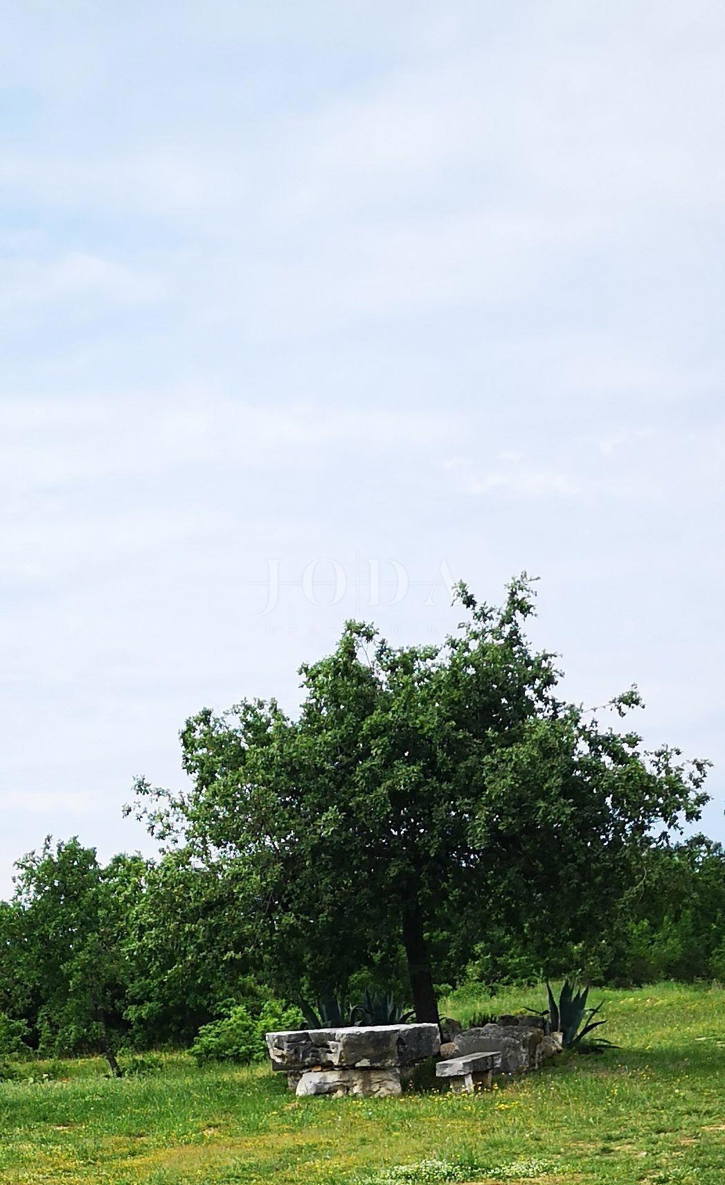 Hiša Tar, Tar-Vabriga, 321,48m2