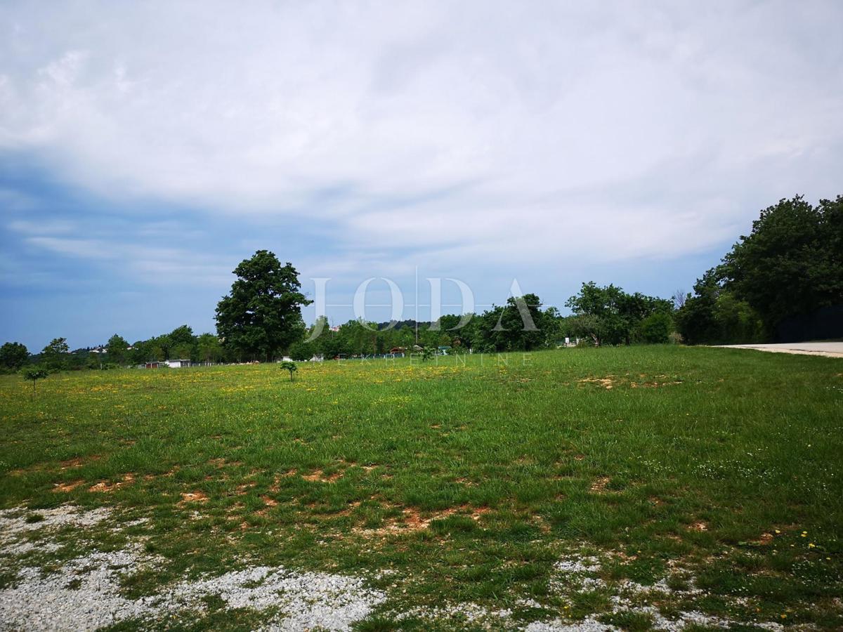 Hiša Tar, Tar-Vabriga, 321,48m2