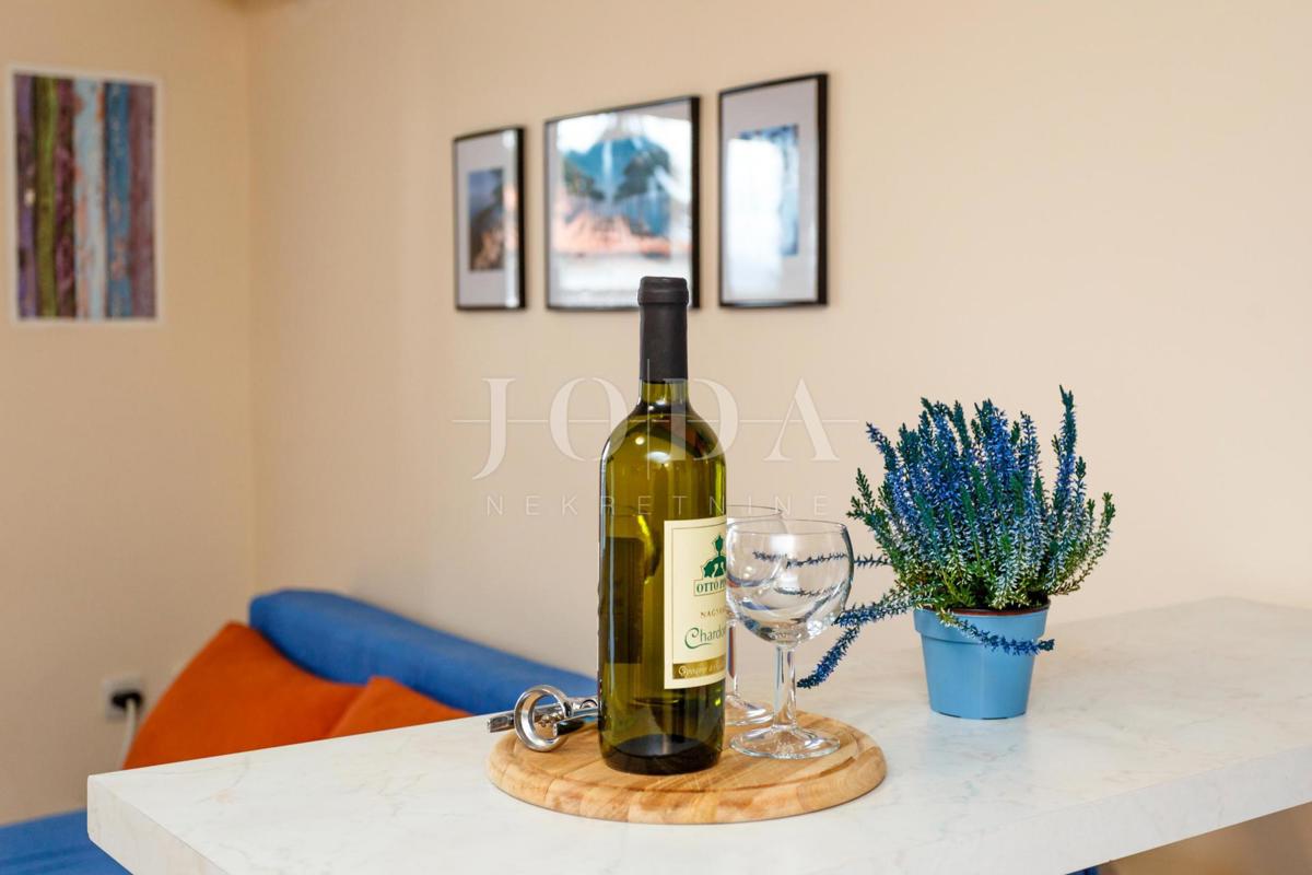 Lepa hiša z več stanovanjskimi enotami in pogledom na morje, otok Krk