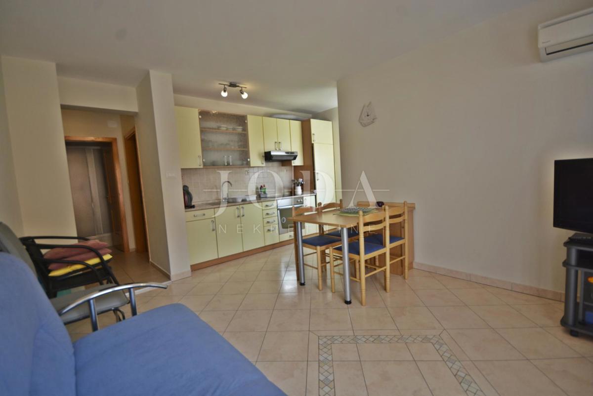 Samostojna hiša s petimi apartmaji in poslovni prostor