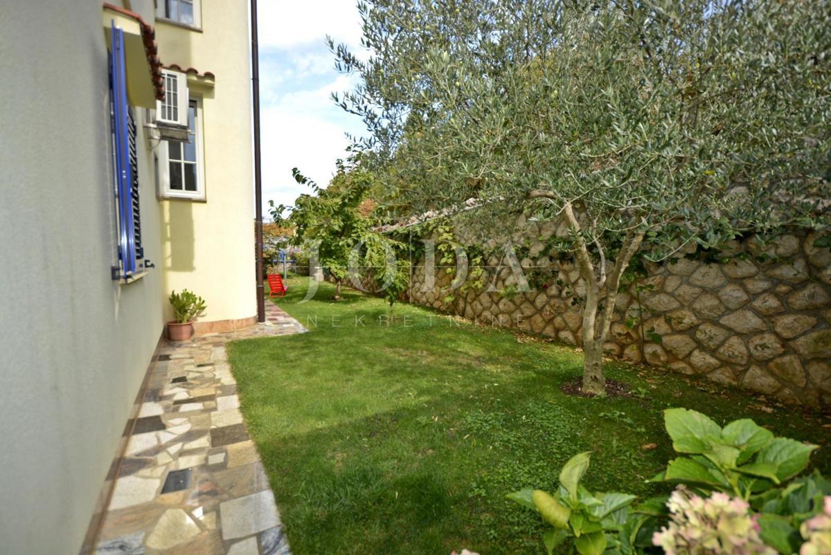 Samostojna hiša s petimi apartmaji in poslovni prostor