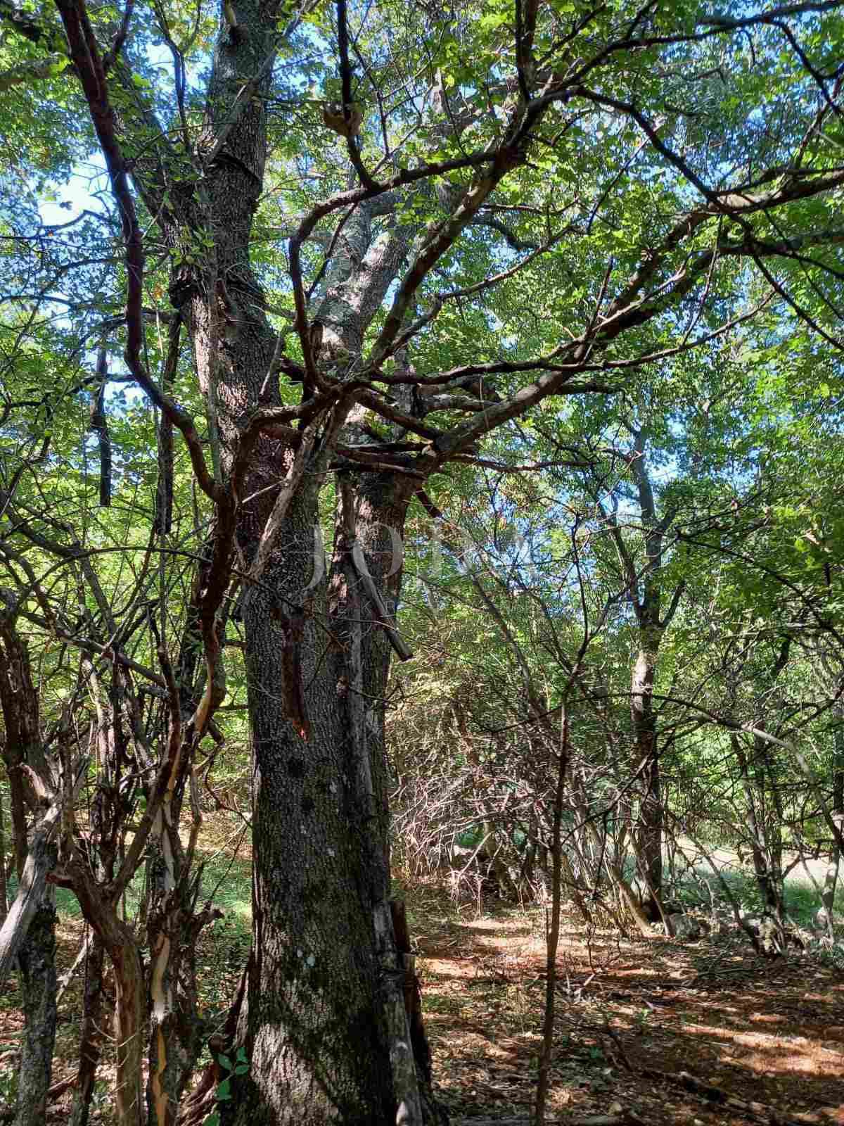 Zemljišče Donji Zagon, Novi Vinodolski, 403m2