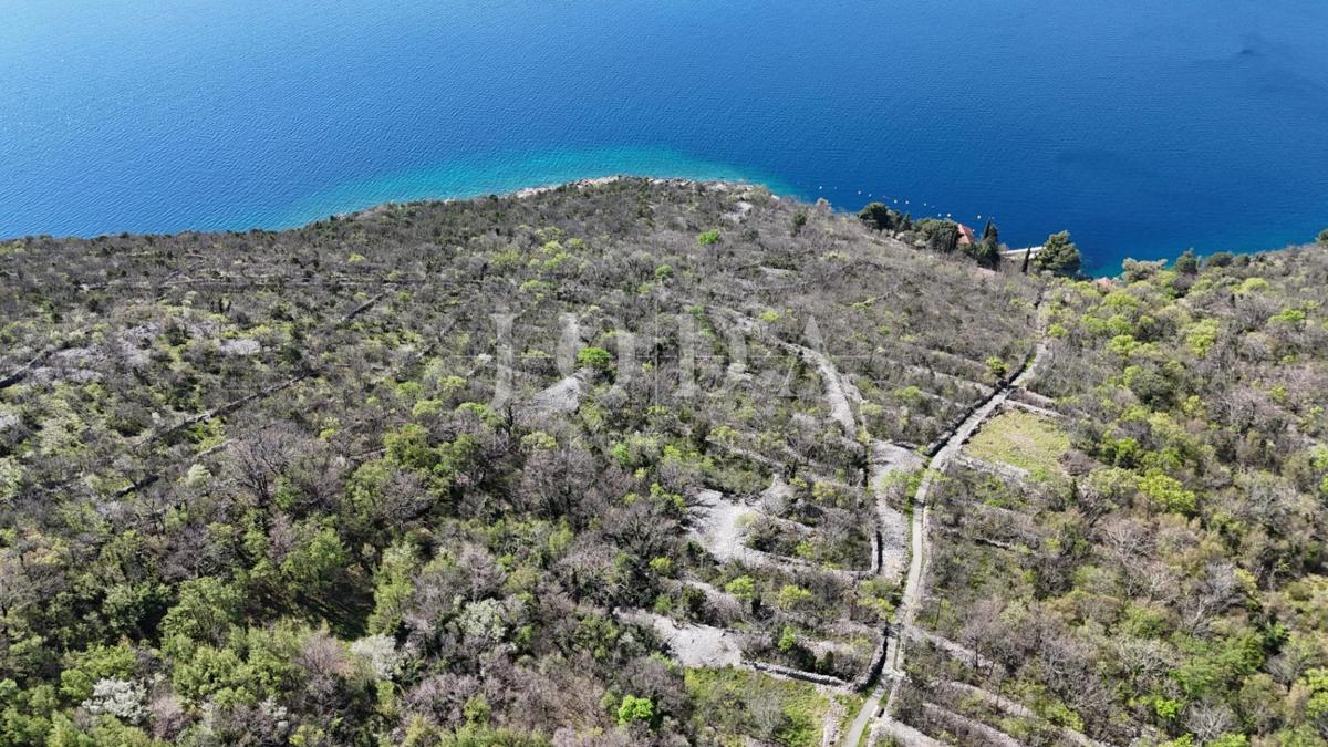 Teren Jadranovo ob zelenem pasu