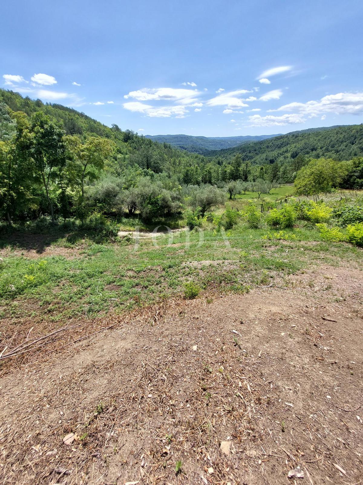 Zemljišče Buzet, 1.706m2