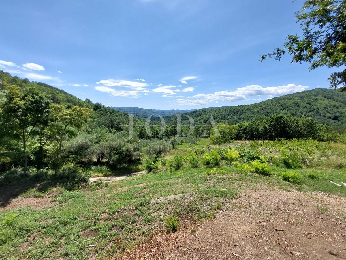Kuća i Zemljišče Buzet, 1.706m2